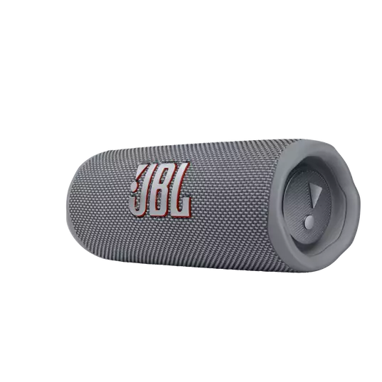 JBL Flip 6